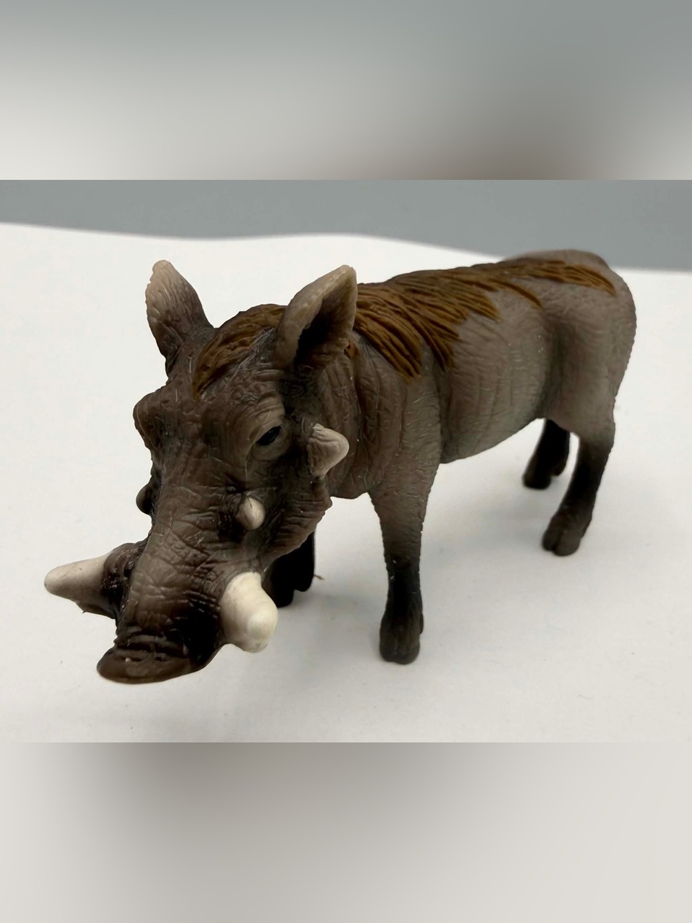 Schleich WARTHOG Figure Wild Pig Male Boar Retired 2009